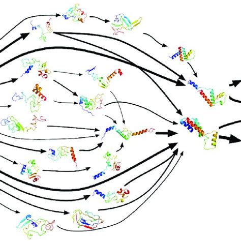 Model Of A Protein S Possible Shapes And Folding Pathways From Its