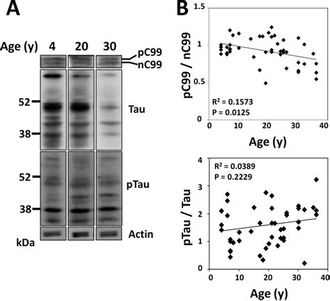 Membrane Microdomain Localization Of Amyloid Precursor Protein App