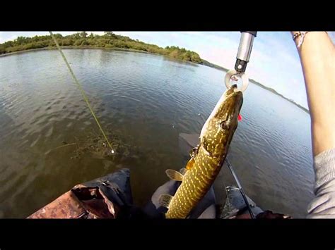 Peche Brochet Au Spinnerbait Float Tube Partie 1 Gopro Hd Youtube