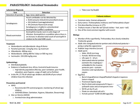 SOLUTION Parasitology Mt12 21 Intestinal Nematodes Studypool