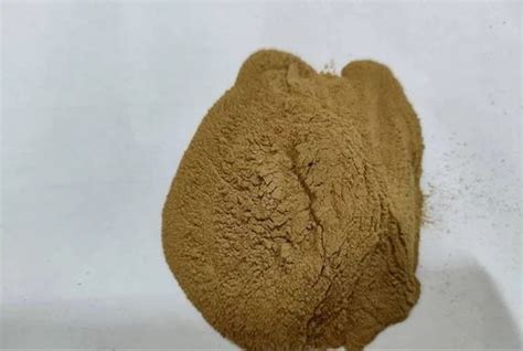 Vitex Negundo Extract Packaging Type Drum Packaging Size 25 Kg At