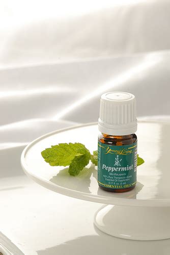 How to Use Peppermint Essential Oil | Young Living Blog