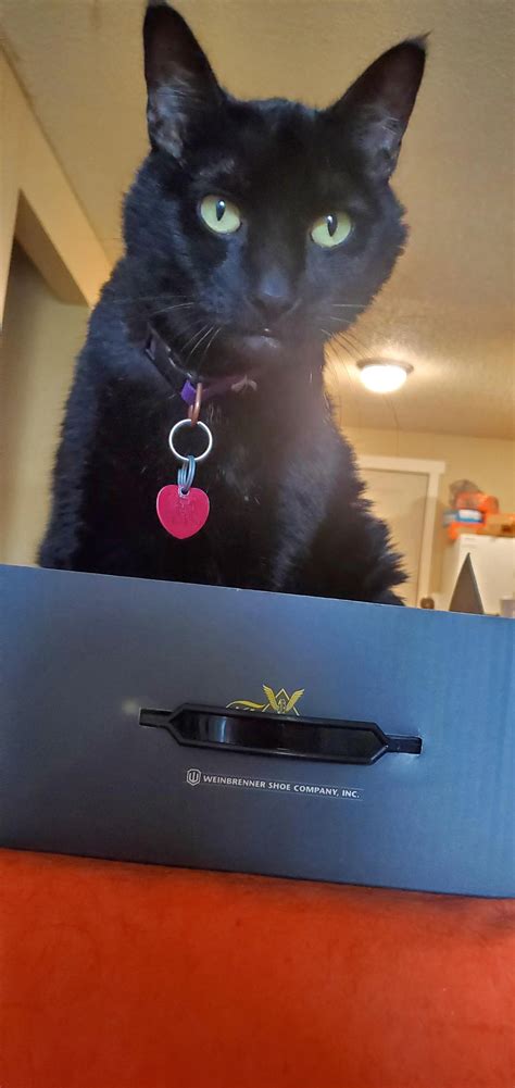 Discover More Like Blackpussy Happy Birthday To My Favorite Black Pussy And Related Content