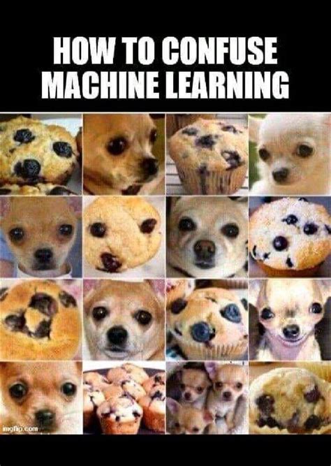 1495 best Machine Learning images on Pholder | Programmer Humor ...