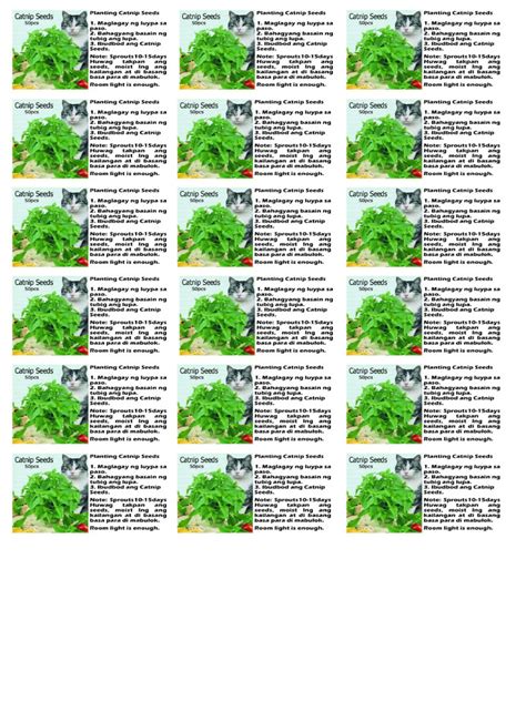 catnip seeds | PDF