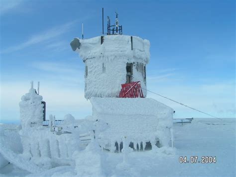 Searching for New Hampshire’s most weatherproof cat at the Mount ...