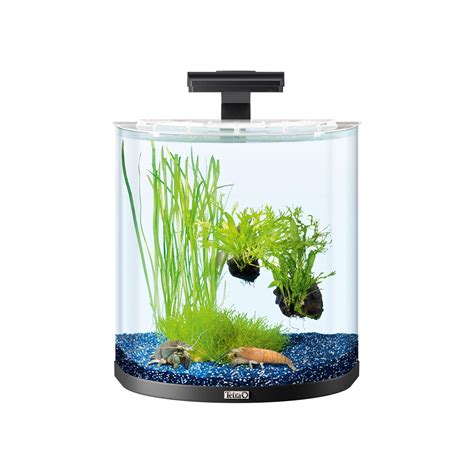 Tetra AquaArt Explorer Line Halfmoon Komplett Set 30l Anthrazit Online