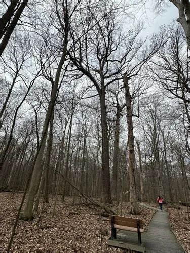 Best Hikes and Trails in Johnson Woods State Nature Preserve | AllTrails