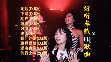 好听车载dj歌曲【lyrics動態歌詞】【高音质无损dj】【ktv字幕】潮起下潜期许嚣张风度离我们的歌摩登爱情溺海直觉何罪