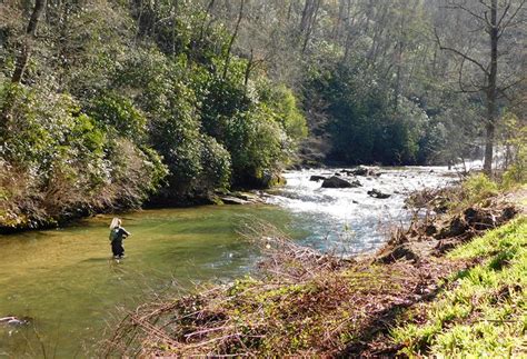 13 Top-Rated Rivers for Trout Fishing in North Carolina | PlanetWare