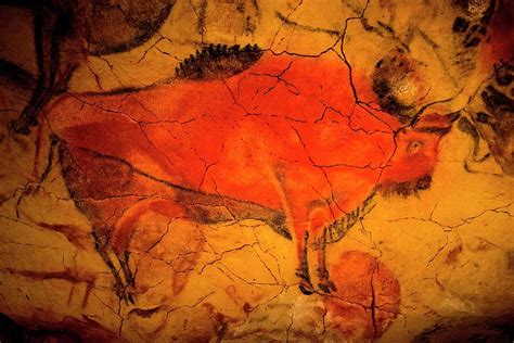 Bison Painting In Altamira Caves Painting By Unknown Pixels