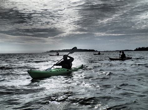 Full Day Tours — Savannah Canoe And Kayak