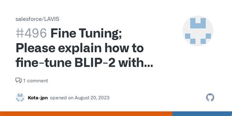 Fine Tuning Please Explain How To Fine Tune Blip With My Own Dataset