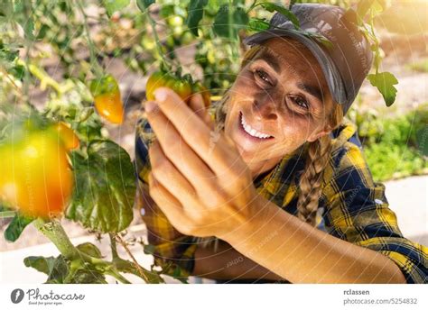 Biobäuerin bei der Kontrolle der Tomaten in einem Gewächshaus