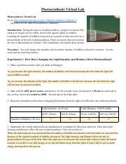 London Collins Photosynthesis Virtual Lab Pdf Photosynthesis