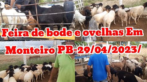 Feira De Caprinos E Ovinos Em Monteiro Pb Youtube