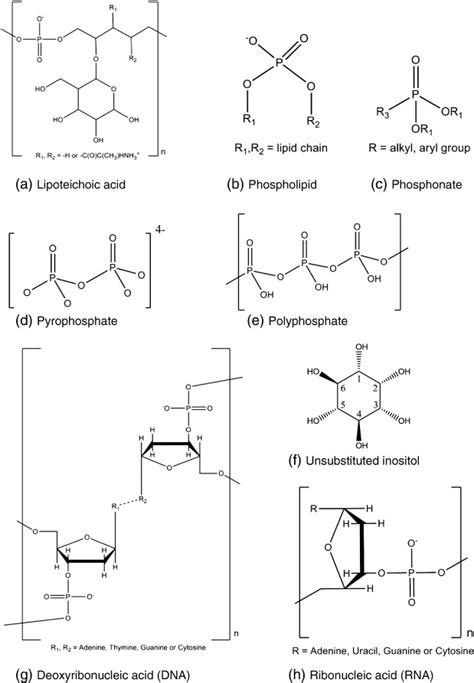 Chemical Structures Of Selected Phosphorus Containing Molecules Found