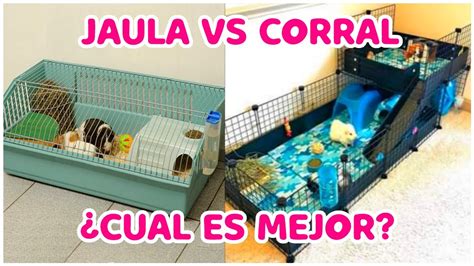 CUAL ES LA MEJOR JAULA PARA CUYOS Jaula Para Cobayas C C CYC YouTube