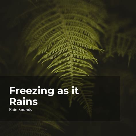 Mellow Teeming Rain Natural Rain Sounds For SleepingRain Storm Sample