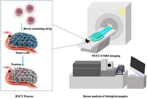 The Development Of Boron Analysis And Imaging In Boron Neutron Capture