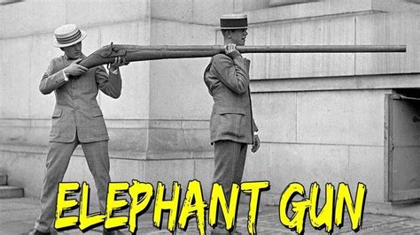 Elephant Gun Alchetron The Free Social Encyclopedia