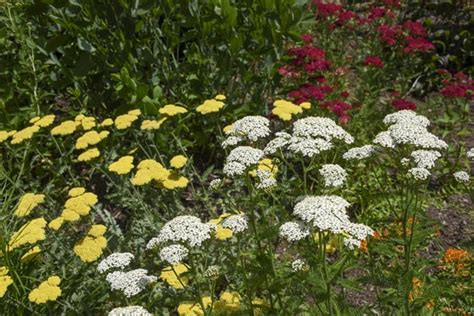 Monmouth County Park System Invites Gardeners To Take Park In National