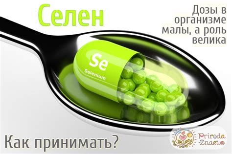 Селен-инструкция по применению, показания к приему, в какой форме ...