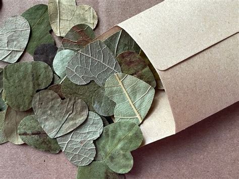 Biodegradable Leaf Confetti Wedding Toss Heart Shaped Etsy