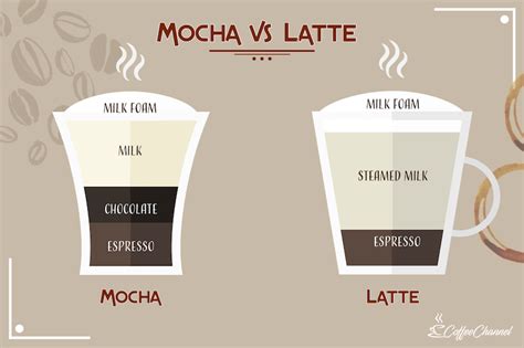 Mocha vs Latte: What's the Difference? (With Images) | Coffee Affection