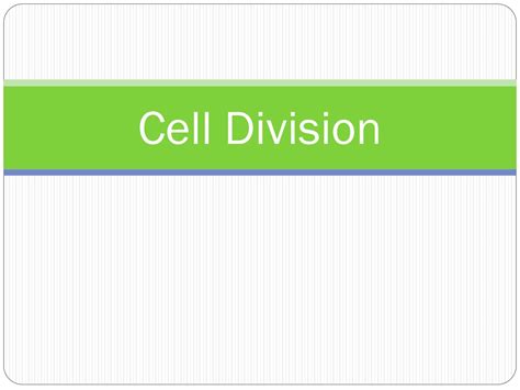 Ppt Cell Division Powerpoint Presentation Free Download Id8805028