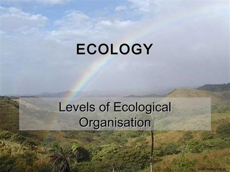 01 Levels Of Ecological Organisation PPT