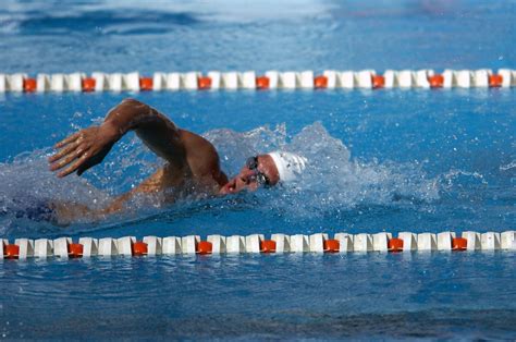 images pool female leisure lane swimmer race competition