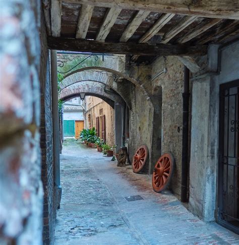 Siena Segreta Antonella Piredda Guida Turistica Abilitata Per Siena