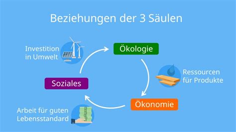 3 Säulen der Nachhaltigkeit Definition Beispiele Kritik mit Video