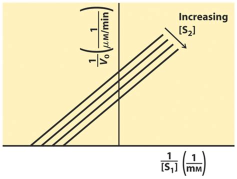 Enzyme Kinetics Flashcards Quizlet