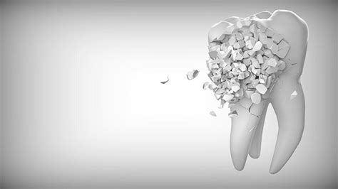 Human Tooth: 6 Anatomy, Types And Fuctions » 2025 