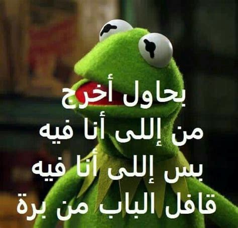 Pin On Funny Arabic Quotes Funny Study Quotes Arabic Funny