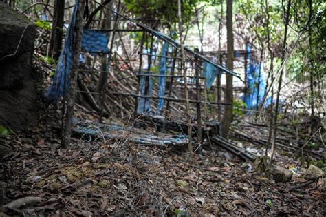 泰國1歲女童遭綁進樹林獨活3天 原因竟是「獻祭給山林鬼魂」 蒐奇 自由時報電子報