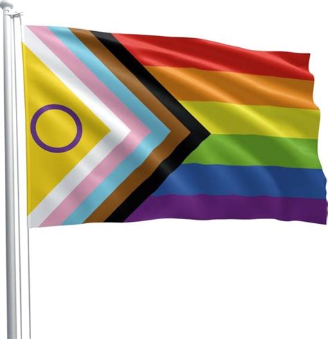 LGBTQ Vlag Pride Vlag Pride Flag Regenboog Vlag Progress Bol