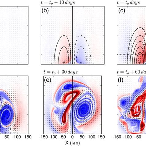 Evolution of the relative vorticity fields ζ f colors of the ocean