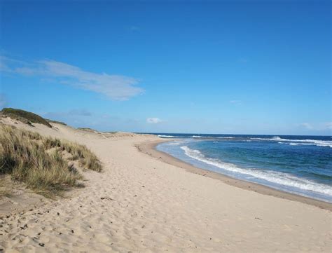 Cape Paterson Accommodation - Beach, Caravan Park, Hotel, Walks, VIC