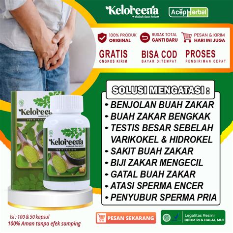 Jual Obat Benjolan Di Buah Zakar Nyeri Biji Peler Buah Zakar Bengkak