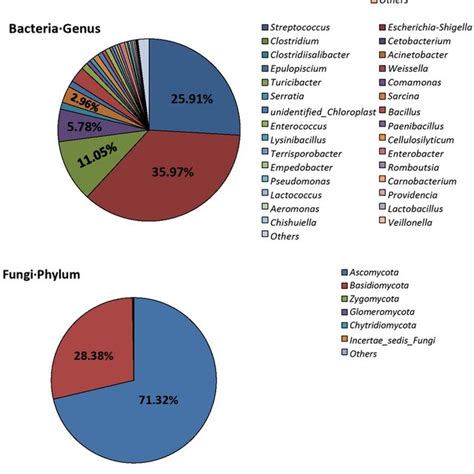 The Relative Abundance Of Bacteria And Fungi At Phylum And Genus Level