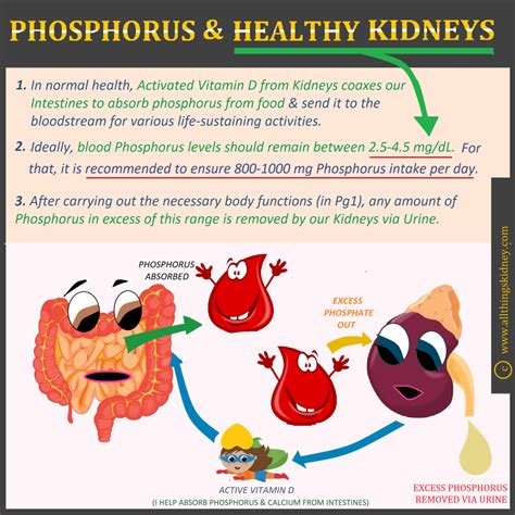 Phosphorus & the CKD Diet - All Things Kidney ~ Official