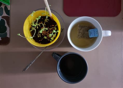 I Tried Unconventional Ways To Increase My Sex Drive Honeycombers