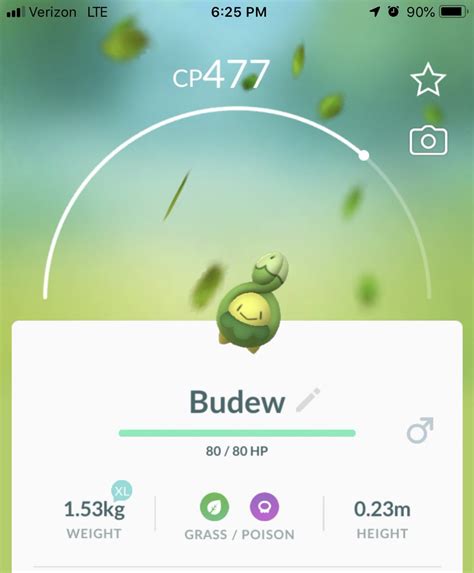 Budew Pokemon Go