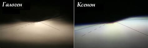 Ксенон или галоген: чем отличаются решения и что выбрать