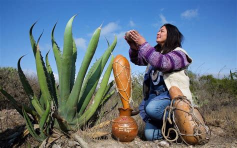 Festival Del Pulque Gastronom A T Pica Y Mezcal Te Decimos Cu Ndo Y A