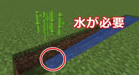 いろいろ Minecraft サトウキビ畑の作り方 327307 Minecraft サトウキビ畑の作り方