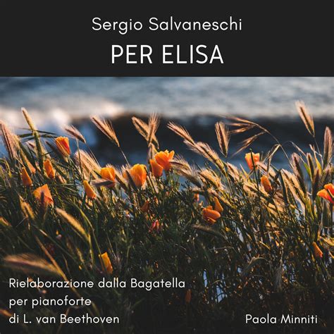 Pianoforte Di Ludwig Van Beethoven